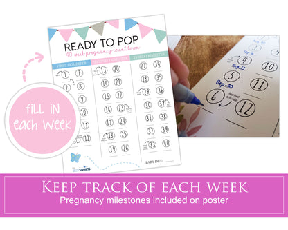 Weekly Pregnancy Countdown